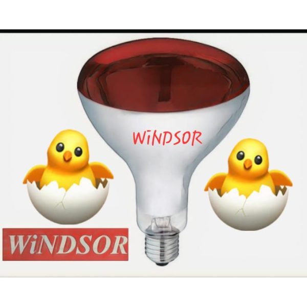 Windsor 250W Infrared Chicken Bulb