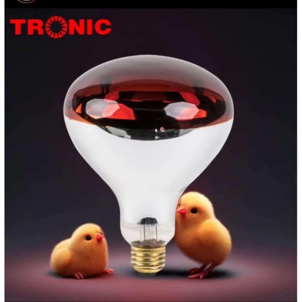 Tronic 250W Infrared Chicken Bulb